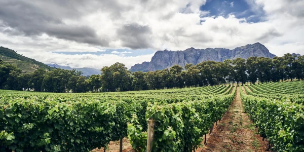 Lõuna-Aafrika Vabariik