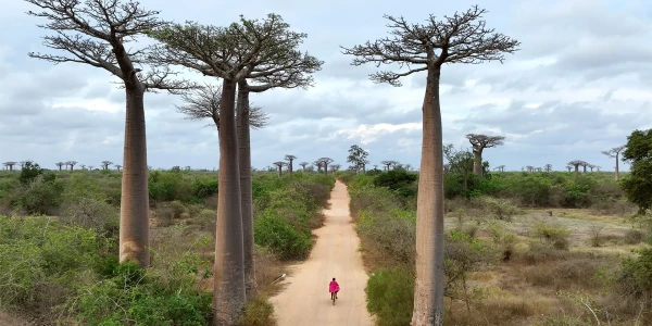 Madagaskar