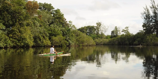 Borneo saare loodus ja Brunei