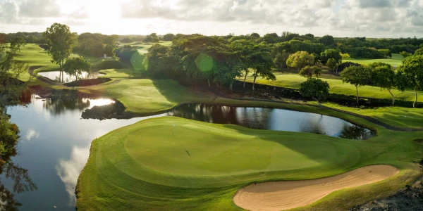 Golfireis Mauritiusele